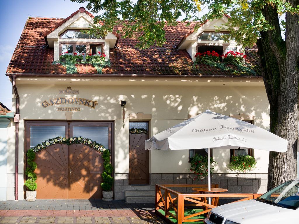 Penzion Gazdovsky Hostinec Топольчанки Экстерьер фото
