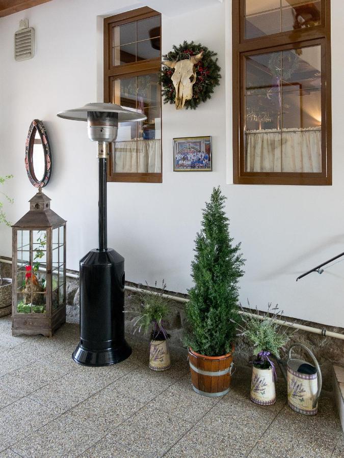 Penzion Gazdovsky Hostinec Топольчанки Экстерьер фото